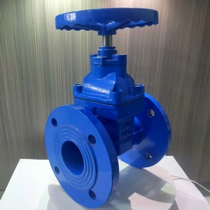 Tùy chỉnh thực hiện hướng dẫn sử dụng nước đàn hồi ghế con dấu Van cổng từ 2 inch đến 24 inch tùy chọn nrs không tăng Thân van - Product Image 2