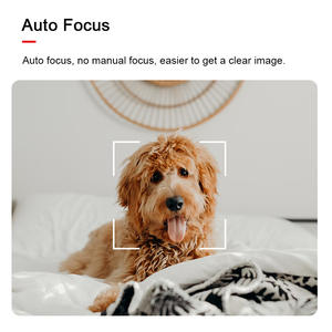 3600 2MP CMOS PS5268 5mm 60度歪みなしUSBオートフォーカス1920x1080 MJPG 30fpsミニHDカメラWi-Fi 1年間ナイトビジョン - Product Image 2