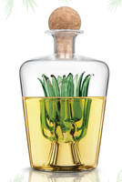 Bouteille de Tequila en Agave soufflée à la main / Carafe à Tequila pour Tequila