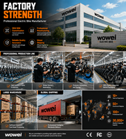 Usine de vélos électriques, fabrication sur mesure de vélos électriques OEM ODM, production professionnelle, expédition mondiale et qualité fiable