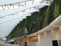 Système de mur vert plateau en plastique salon tenture murale jardinières Vertical jardin vert mur Pots en gros