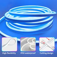 Diode électroluminescente RGB 24V multicolore personnalisée avec cordon lumineux LED flexible avec corps en PVC IP67