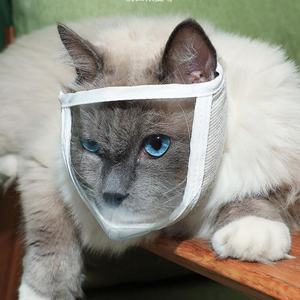 Protector Bucal Transparente para Gatos, Máscara Facial Anti Mordidas y Anti Lamidas, Transpirable, con Abertura para Bañarse y Peinar - Product Image 4