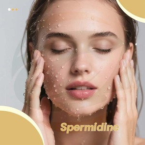 Suplemento antioxidante <span class=keywords><strong>de</strong></span> hierbas chinas en stock: Cápsulas <span class=keywords><strong>de</strong></span> espermidina, ginsenosido, extracto <span class=keywords><strong>de</strong></span> olivo, PQQ y dihidroquercetina - Product Image 2