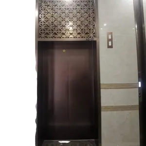 Декоративная наружная металлическая дверь лифта из нержавеющей стали 304