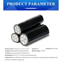 YJLV 22 32 42 62 Cobre Aluminio PVC PE XLPE Cable eléctrico aislado Cable de alimentación de voltaje medio