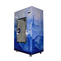 Congélateur vitrine à porte simple personnalisé, refroidissement par ventilateur, en acier inoxydable, 5 étoiles, à faible consommation d'énergie, pour usage commercial intérieur