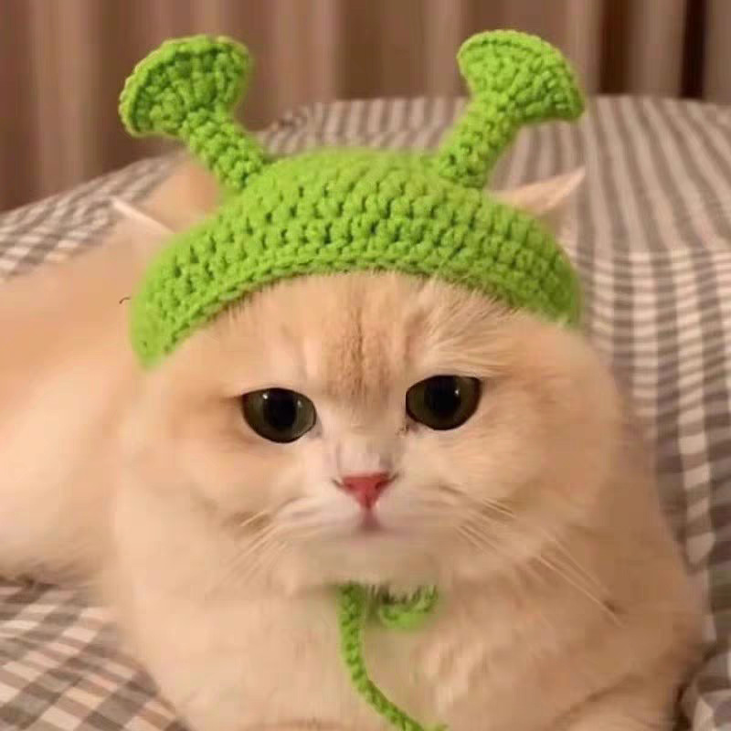 Chapeau de slime vert [oreilles exposées]