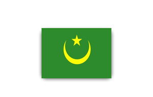<span class=keywords><strong>Bandera</strong></span> rectangular voladora de calle <span class=keywords><strong>Bandera</strong></span> de <span class=keywords><strong>Mauritania</strong></span> stock de fábrica envío rápido - Product Image 5