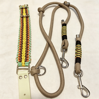 Ensemble collier et laisse pour chien réglables sur mesure, laisse en corde bleue tressée personnalisée assortie pour chiens de petite et grande taille, promenade en plein air
