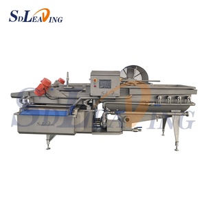 Industrial Fresh fruit and vegetable cleaning machine Automatic raisin cleaning machine