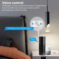 Interrupteur intelligent Wi-Fi SIXWGH RF compatible Alexa/Google Home, relais 10A, fonction minuterie à distance 433 MHz, interrupteurs muraux vocaux pour la maison