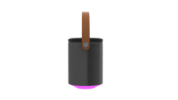 Haut-parleur portable Son de haute qualité avec double fonction de micro sans fil Prise en charge du haut-parleur TF USB AUX Bt pour les activités de plein air en intérieur