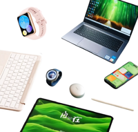 Composants de boîtier métallique pour montre connectée, moulage par injection de précision sur mesure, accessoires matériels pour appareils portables OEM