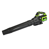 Souffleur à feuilles sans fil électrique portable VERTAK 20V Turbo Air Leaf Blower pour usage domestique