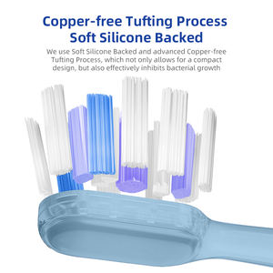 Oscilación y Vibración Cepillo De Dientes Electrico Szczoteczka Soniczna Zahnburste Elektrisch Brosse A Dents Electrique - Product Image 4