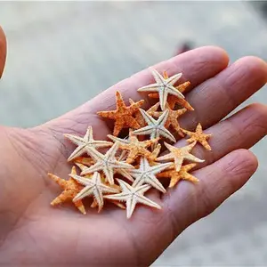 1000件/包真美甲海星鱼钉3D装饰品海贝星0.5-1厘米指甲亮片配件迷你小海星