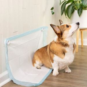 Pañales Desechables para Mascotas de Carbón de Bambú, Nuevo Estilo, Almohadillas para Perros - Product Image 3