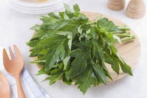 Harga grosir bubuk ekstrak Ashitaba 10:1 alami murni <span class=keywords><strong>Angelica</strong></span> <span class=keywords><strong>Keiskei</strong></span> - Product Image 2