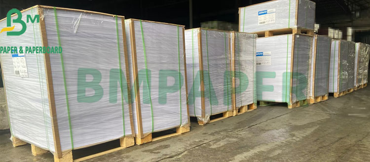 Matte Coated C2S Glossy Paper 80G 90G 100G 115G Size 635mm X 900mm