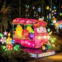 Grande décoration interactive de lanternes pour parc d'attractions, pour le Nouvel An, utilisation intérieure/extérieure, spectacle de lumière pour parc à thème