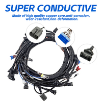 Kit de Arnés de Cables Electrónico Personalizado de Alta Calidad para Motor JCB 1KD, Arnés de Cableado Universal de 12 Circuitos para Automóvil