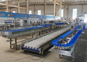 Machine de triage pondéral industrielle pour écrevisses / Machine de calibrage pour yabbies / Machine de pesage pour crabes - Product Image 5