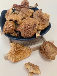 Armillaria Mellea/Zhen Mo Dried Armillaria Mellea Mushroom Supply Honey-mushroom