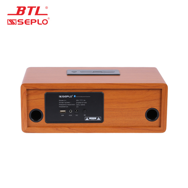 China Factory New Product Professional Karaoke Player Home Theater Support BT/ AUX / XLR / RCA / USB / Home Speaker