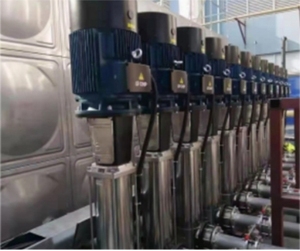 Pompe à eau verticale multi-étages CDLF20 en acier inoxydable, compacte, électrique, centrifuge, à économie d'énergie, vente en gros, OEM - Product Image 4