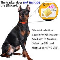 Lemonjoy Smart GPS-Tracker-Halsband für Haustiere mit 4G Echtzeit-Positionierung, App-Steuerung, Aktivitäts- und Fitness-Monitor für Hunde