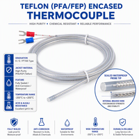 Sonde de température à thermocouple de type K PT100 avec revêtement PTFE, étanche, résistante aux acides et aux alcalis, pour l'électrodéposition chimique