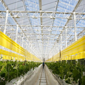 Trampas Adhesivas para Insectos de Doble Cara para Agricultura, 30*100 cm, Amarillas y Azules, No Tóxicas, Resistentes a Altas Temperaturas, Aptas para Huertos - Product Image 6