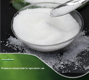 بولي أكريلات الصوديوم الصديقة للبيئة CAS 9003-04-7 للاحتفاظ بالماء وامتصاصه - Product Image 1