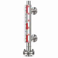 OEM UHZ-519 Pengukur Level Pelat Magnetik yang Dipasang di Samping dengan Sakelar Level Tinggi/Rendah untuk Media Suhu Tinggi dan Tekanan Tinggi.