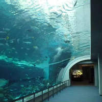 Panneaux acryliques Perspex sur mesure de 30 mm à 800 mm pour aquarium extérieur, vente en gros par l'usine HUASHUAITE