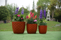 Pot de fleurs en céramique, style moderne compact, avec trou de drainage et glaçure respirante