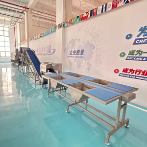 Công suất lớn rau và trái cây khoai lang gừng hạt giống Rau diếp Máy làm sạch - Product Image 1