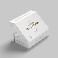 Boîte d'expédition en carton ondulé personnalisée pour sous-vêtements, avec logo imprimé, pour petites entreprises