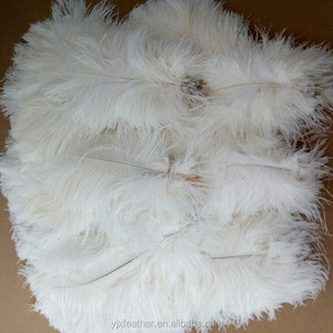 10-15cm prix usine plumes d'autruche fête <span class=keywords><strong>de</strong></span> mariage pour déco <span class=keywords><strong>plume</strong></span> d'autruche - Product Image 6