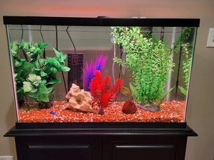 Fullgain impermeable IP68 agua dulce puesta de sol amanecer simulación <span class=keywords><strong>control</strong></span> remoto lámpara de acuario crecimiento de plantas iluminación de acuario - Product Image 6