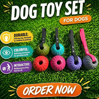 Jouet interactif pour chien à mâcher et à lâcher, balle durable en EVA avec boucle, jouets à mâcher pour animaux de compagnie, jouet en corde pour chien pour l'entraînement