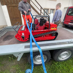 Miễn phí vận chuyển nhà máy Trung Quốc phong cách mới <span class=keywords><strong>Mini</strong></span> 7.5HP <span class=keywords><strong>4</strong></span> thì xăng máy cắt cỏ điều khiển từ xa cho vườn cắt động cơ động cơ - Product Image 6