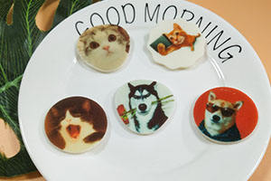 <span class=keywords><strong>Spray</strong></span> de revêtement au chocolat comestible pour l'impression alimentaire, améliore l'adhérence de l'encre et la netteté des couleurs - Product Image 4