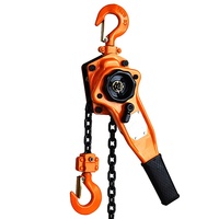 Nouvelle palan manuel à chaîne en acier de 2 tonnes et 6 mètres G80, dispositif de levage par traction avec protection IP55 pour la construction, les hôtels et les mines