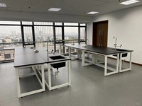 Table de laboratoire en fer VitalLab à prix abordable, design simple, évier intégré, résistante aux alcalis, revêtement en poudre époxy, moderne, mobile, structure en H, 2 places