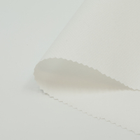 Prix de gros Entoilage thermocollant double face en filet adhésif thermofusible PA pour vêtements