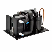 Mini-refroidisseur AC, unité de condensation à tube de cuivre pour réfrigération, refroidisseur de gaz, compresseur, armoires solaires pour crème glacée