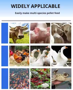 Machines <span class=keywords><strong>de</strong></span> traitement d'aliments pour animaux domestiques Machine <span class=keywords><strong>de</strong></span> fabrication <span class=keywords><strong>de</strong></span> palettes d'aliments pour animaux Machine à granulés d'aliments pour le bétail - Product Image 4