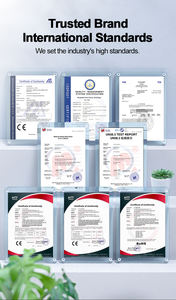 5 ק "מ מחוץ לרשת חשמל סולארית עם מערכת אחסון אנרגיה ביתית מלאה - Product Image 5